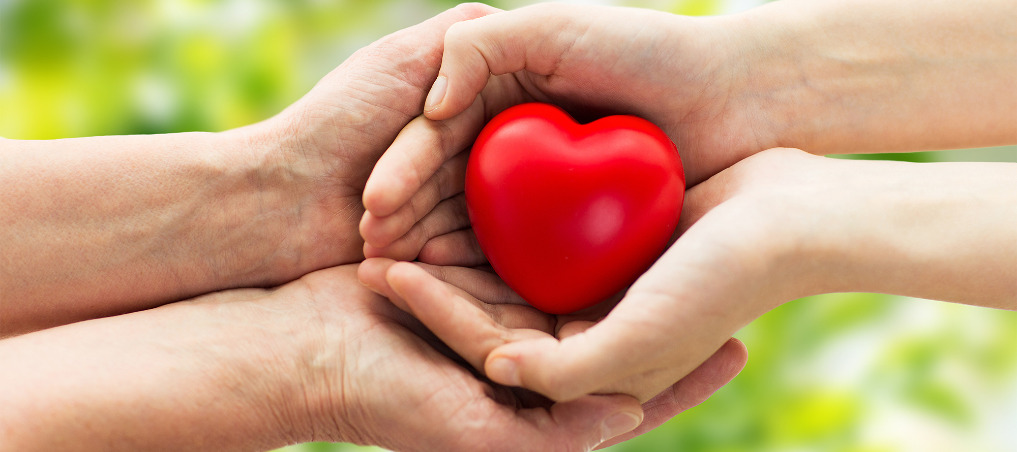 성남통합돌봄추진위